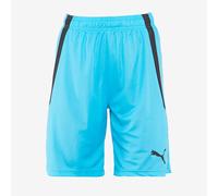 Puma teamLIGA Shorts