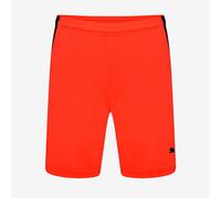 Puma teamLIGA Shorts
