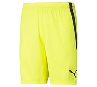 PUMA teamLIGA Shorts