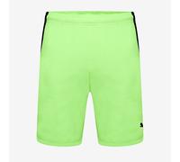 PUMA Teamliga Men's Shorts