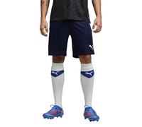 PUMA teamLIGA Shorts