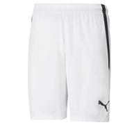 Puma teamLIGA Shorts