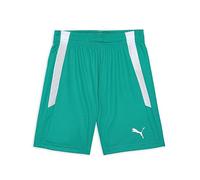 PUMA teamLIGA Shorts Jr