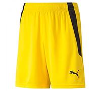 PUMA teamLIGA Shorts Jr