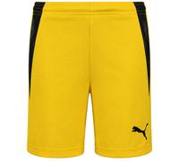 PUMA teamLIGA Shorts Jr