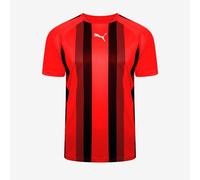 Puma teamLIGA Striped SS Shirt
