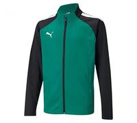 PUMA teamLIGA Training Jacket Jr