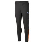 PUMA teamLIGA Training Pants