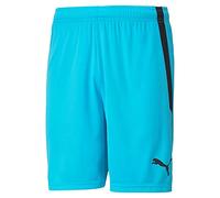 PUMA Teamliga Unisex Shorts