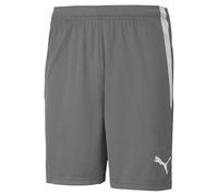 PUMA Teamliga Unisex Shorts