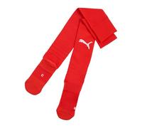 PUMA teamLIGA26 Socks