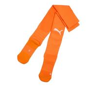 PUMA teamLIGA26 Socks