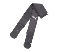 PUMA teamLIGA26 Socks
