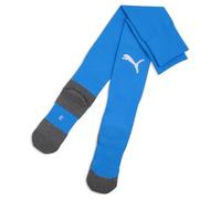 PUMA teamLIGA26 Socks Core