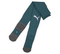 PUMA teamLIGA26 Socks Core