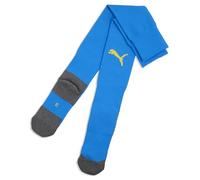 PUMA teamLIGA26 Socks Core