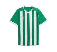 PUMA teamLIGA26 Striped Jersey