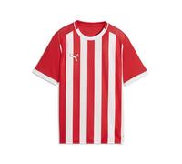 PUMA teamLIGA26 Striped Jersey Jr