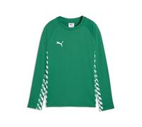 PUMA teamLIGA26 Training Sweat Jr