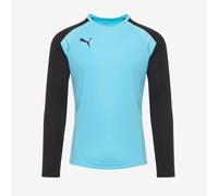 Puma teamPACER LS GK Shirt