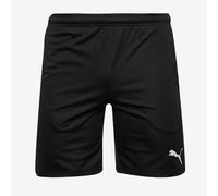 Puma teamRISE 25 Training Shorts