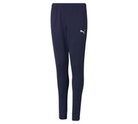 Puma Teamrise Poly Tracksuit Pants