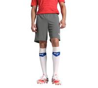 Puma Mens teamRISE Training Shorts Smoked Pearl/Puma White M
