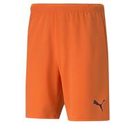 Puma teamRISE Shorts