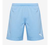 Puma teamRISE Shorts