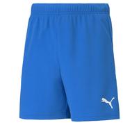 Puma Teamrise Shorts