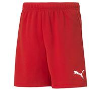 Puma Teamrise Shorts