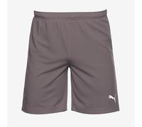 Puma Mens teamRISE Training Shorts Smoked Pearl/Puma White M