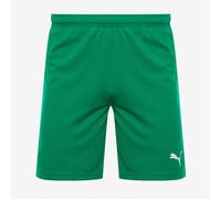 Puma teamRISE Shorts