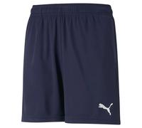 Puma Teamrise Training Shorts