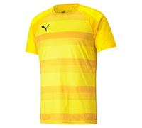 PUMA teamVISION Jersey