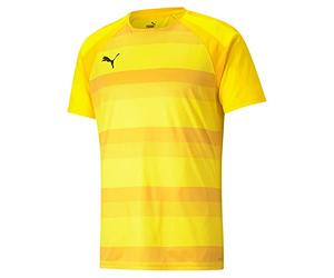 PUMA teamVISION Jersey