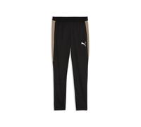 PUMA Mens IndividualFINAL Slim Training Pants