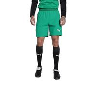 PUMA Unisex Gewebte Shorts Teamfinal Shorts