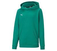 PUMA Unisex Kids, teamGOAL 23 Casuals Hoody Jr Hoodie, Pepper Green, 13-14 Years