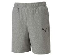 PUMA Unisex Kids Teamgoal 23 Casuals Knitted Shorts