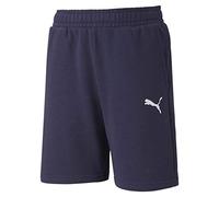 PUMA Unisex Kids Teamgoal 23 Casuals Knitted Shorts