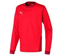 Puma Unisex Kids Teamgoal 23 Jersey Ls Jr Shirt (Pack of 1)