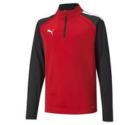 PUMA Unisex Kids Teamliga 14 Zip Top Jr Sweater (pack of 1)