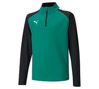 PUMA Unisex Kids Teamliga 14 Zip Top Jr Sweater (pack of 1)