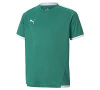 Puma Teamliga Short Sleeve T-shirt