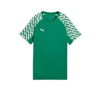PUMA Unisex Kids Teamliga Jersey Jr Shirt