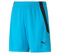 PUMA Unisex Kids Teamliga Jr Knitted Shorts, Blue Atoll-puma Black, 140 EU