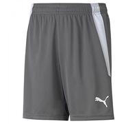 PUMA Unisex Kids Teamliga Jr Knitted Shorts, Smoked Pearl-puma White, 140 UK