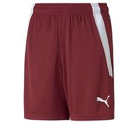 PUMA Unisex Kids Teamliga Shorts Jr 1730973031, Cordovan-puma White, 164 UK