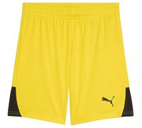 PUMA Unisex Kids Teamliga Shorts Jr Shorts